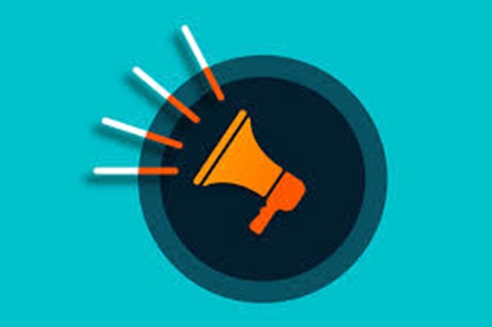 دانشگاه های برتر